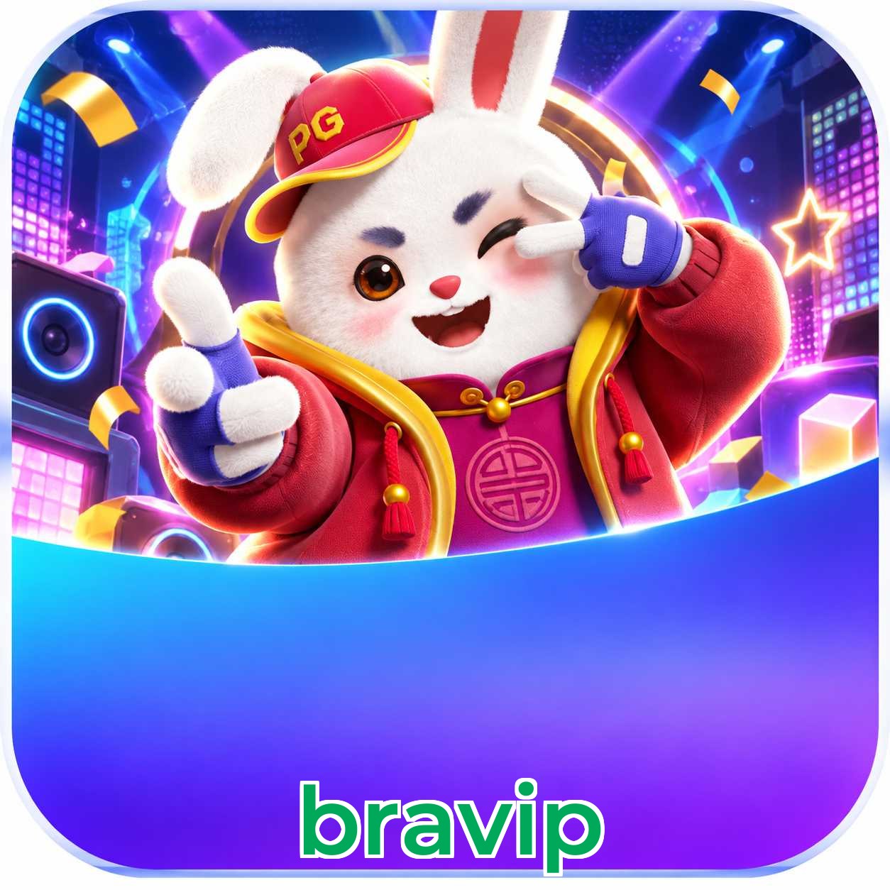 bravip Logo