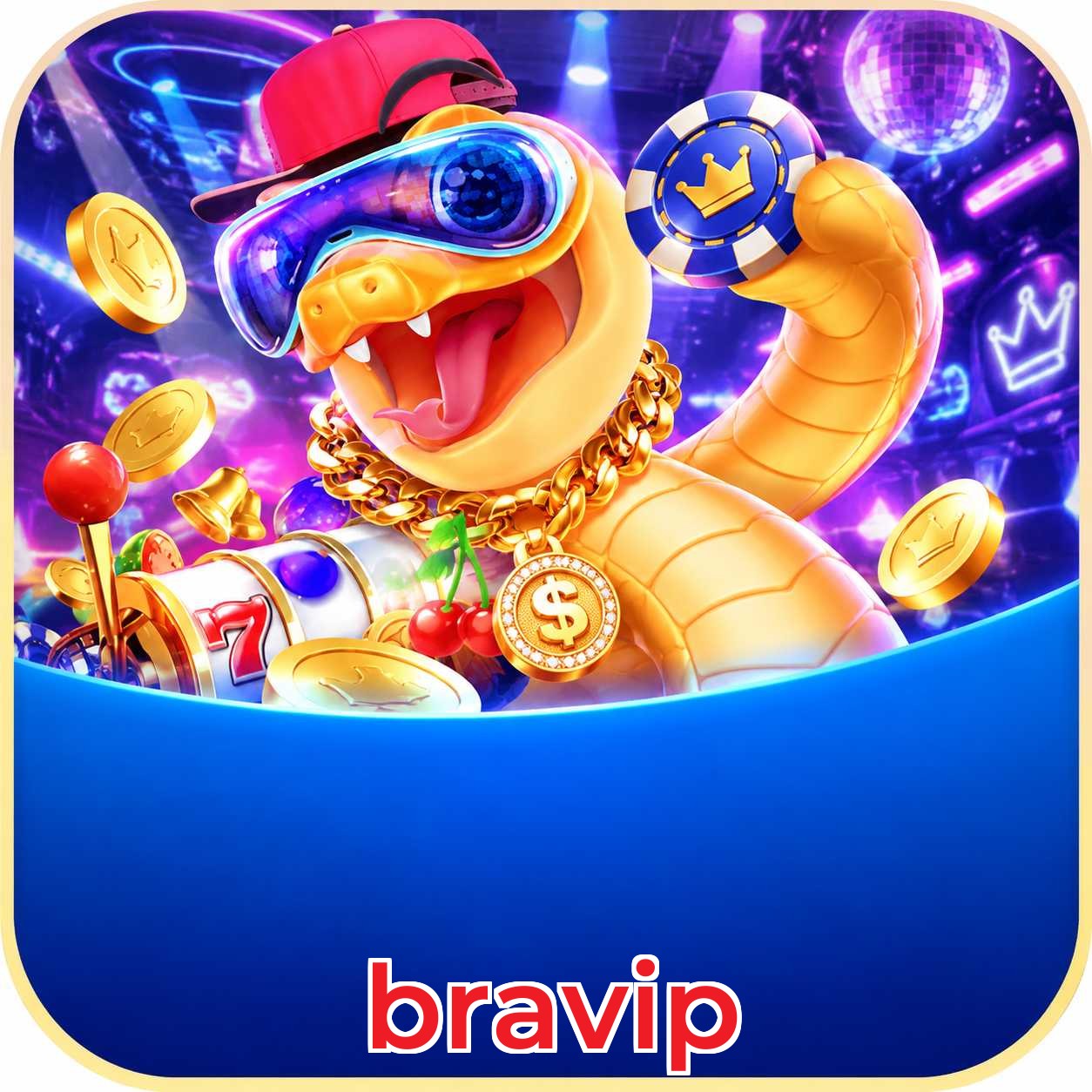 bravip Compatibilidade