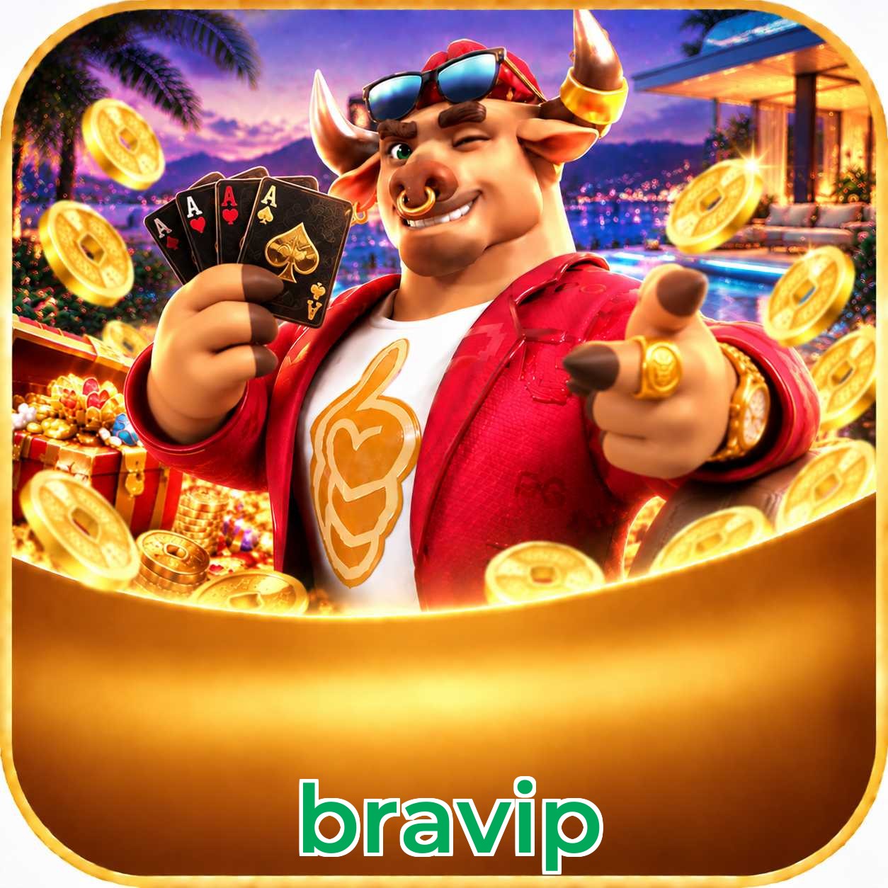 bravip Facebook Group