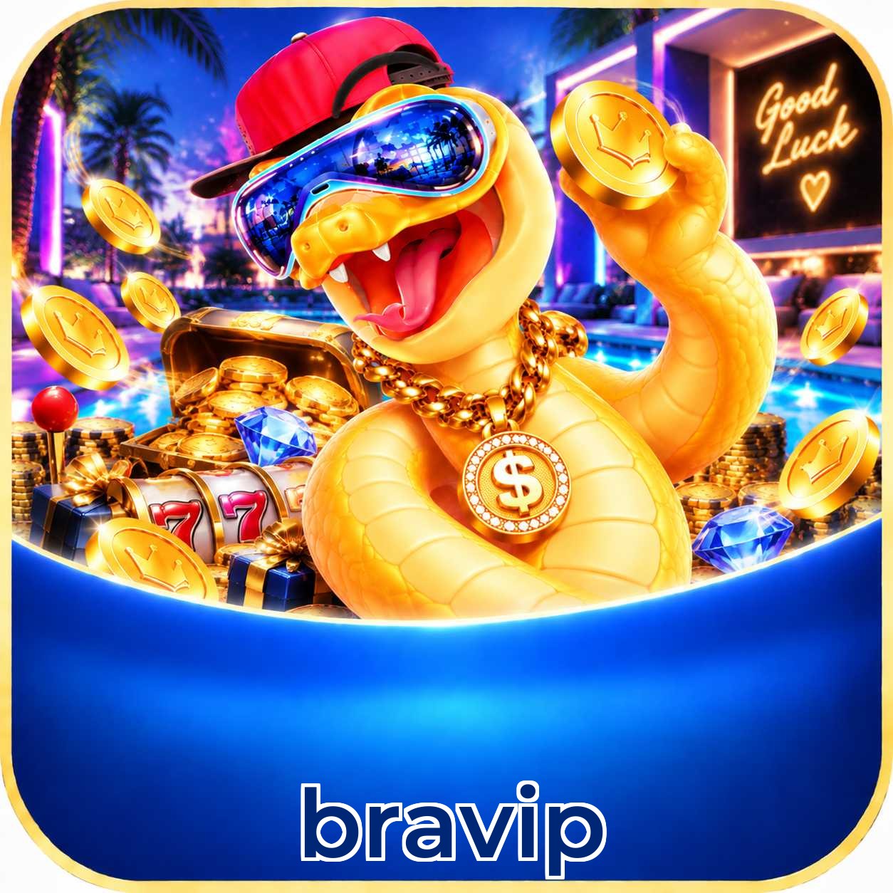 bravip Facebook Page