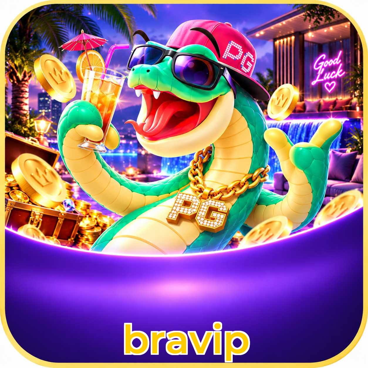 bravip Live Casino Overview