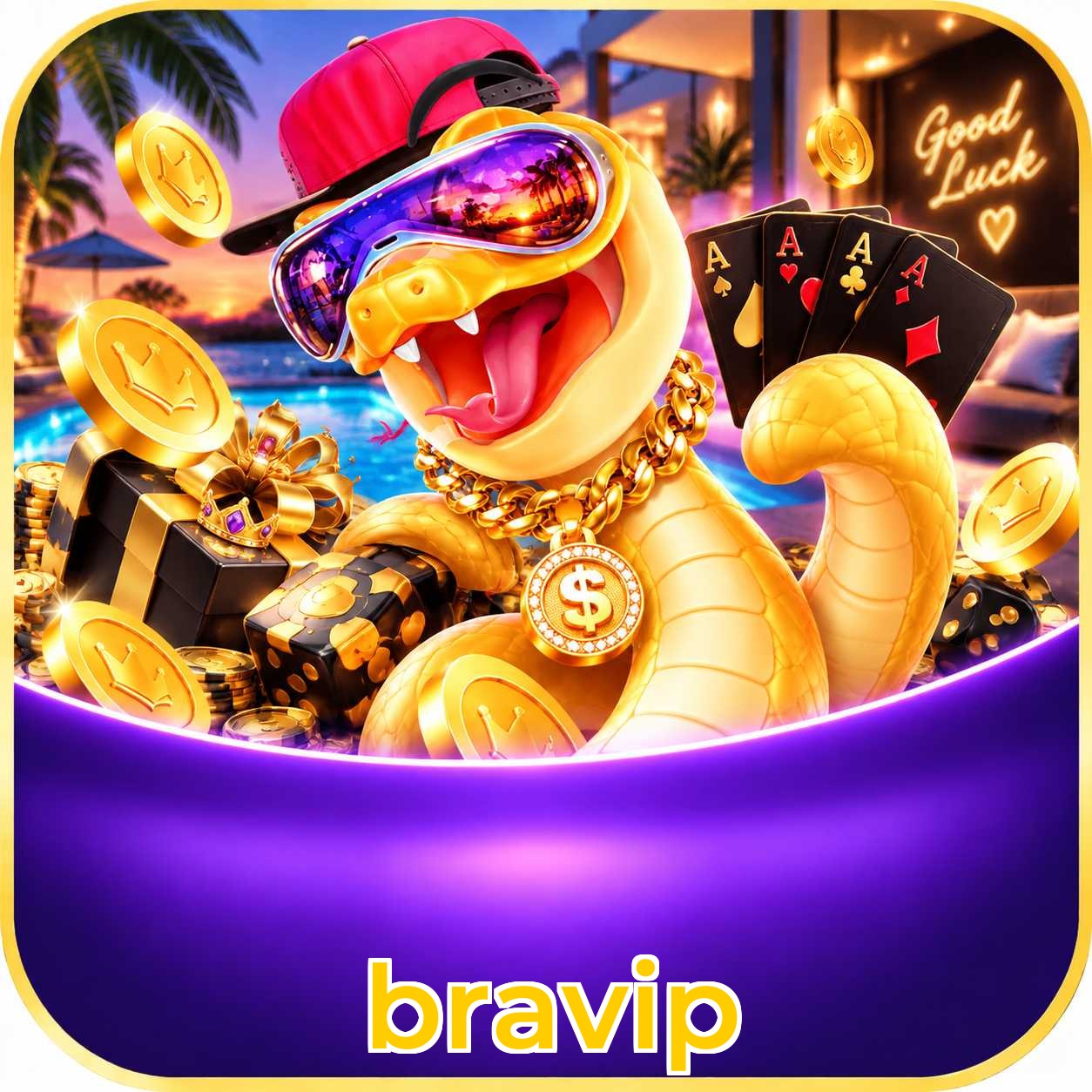 bravip Version History