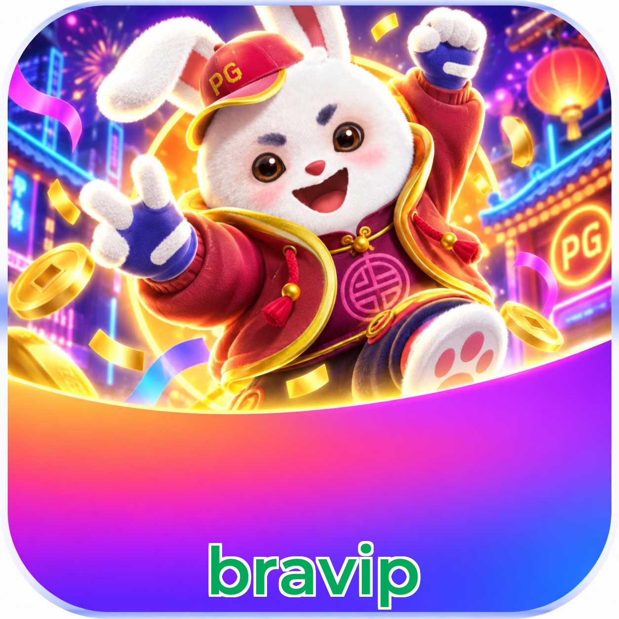 bravip Facebook Support