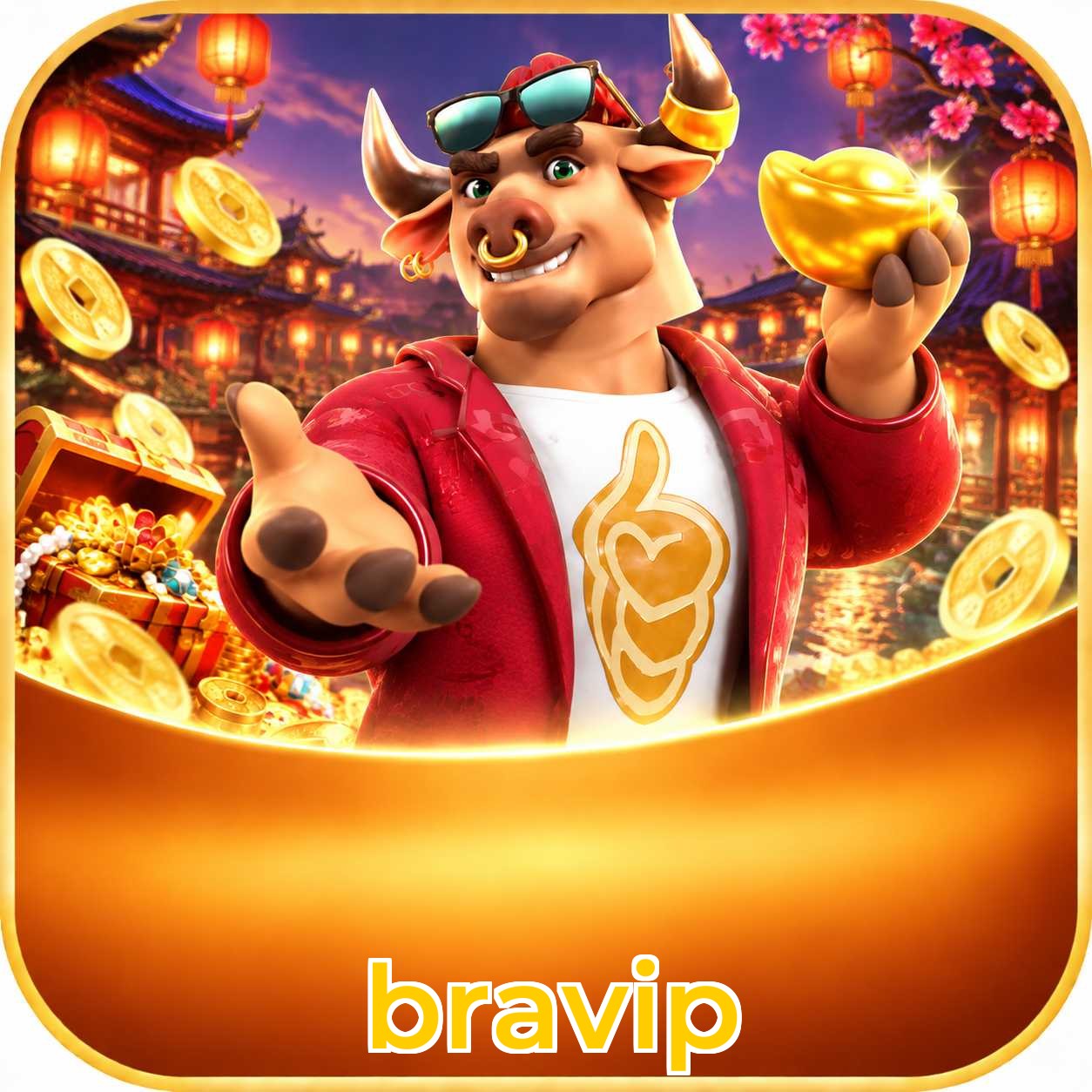 bravip Installation Guide