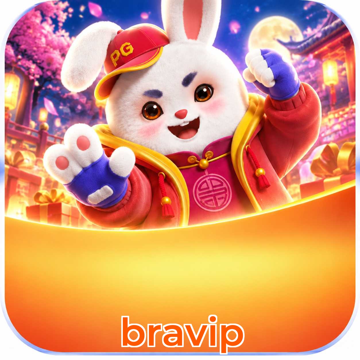 bravip Logo