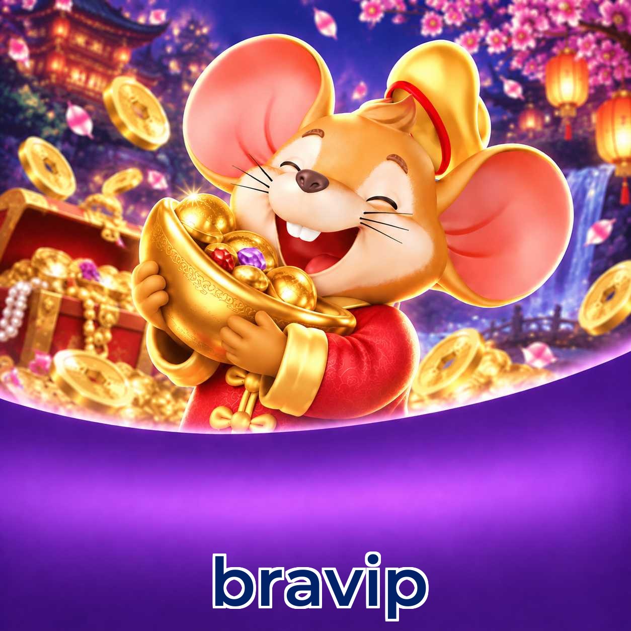 bravip Security