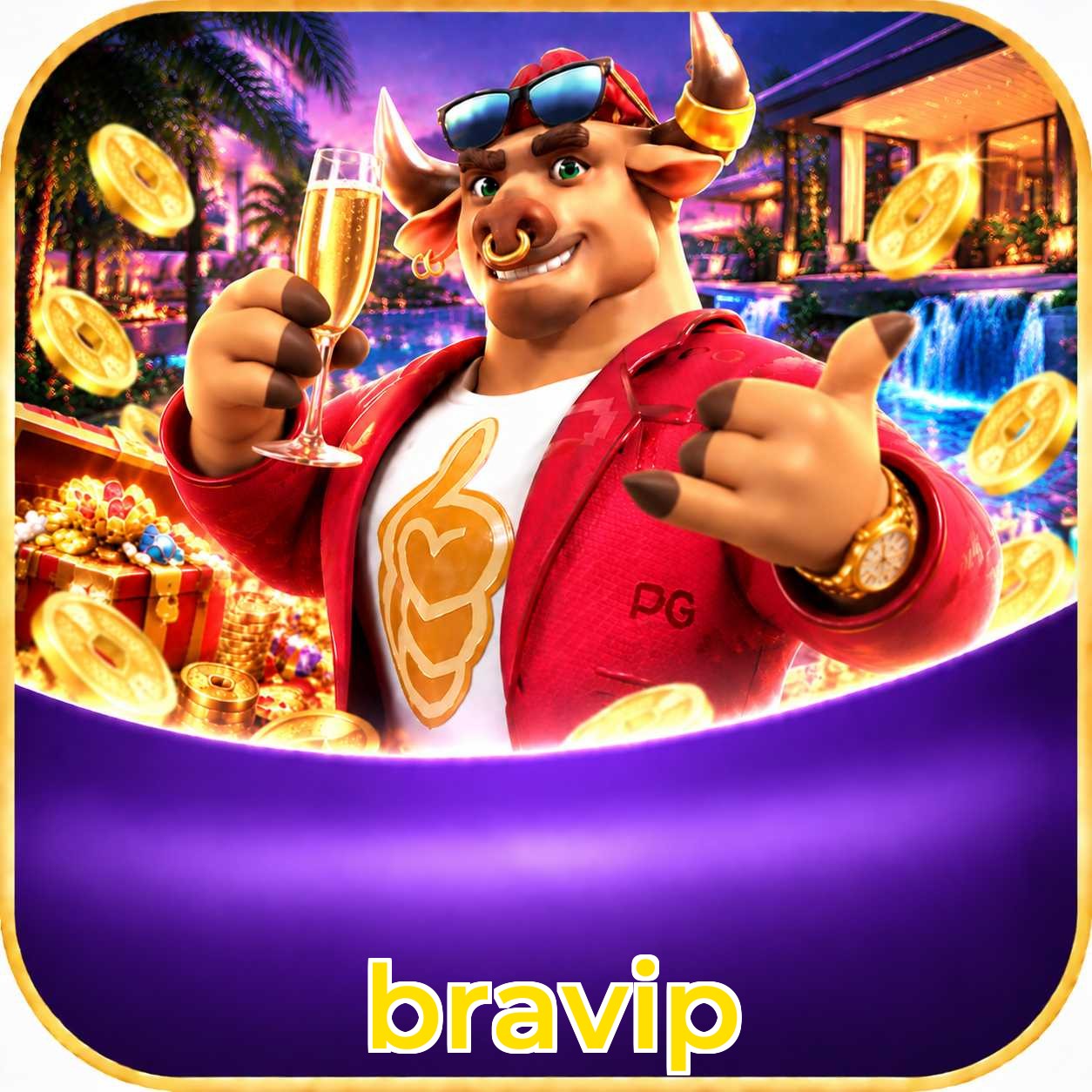 bravip Suporte